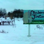 Mulberry Junction Garden during the winter