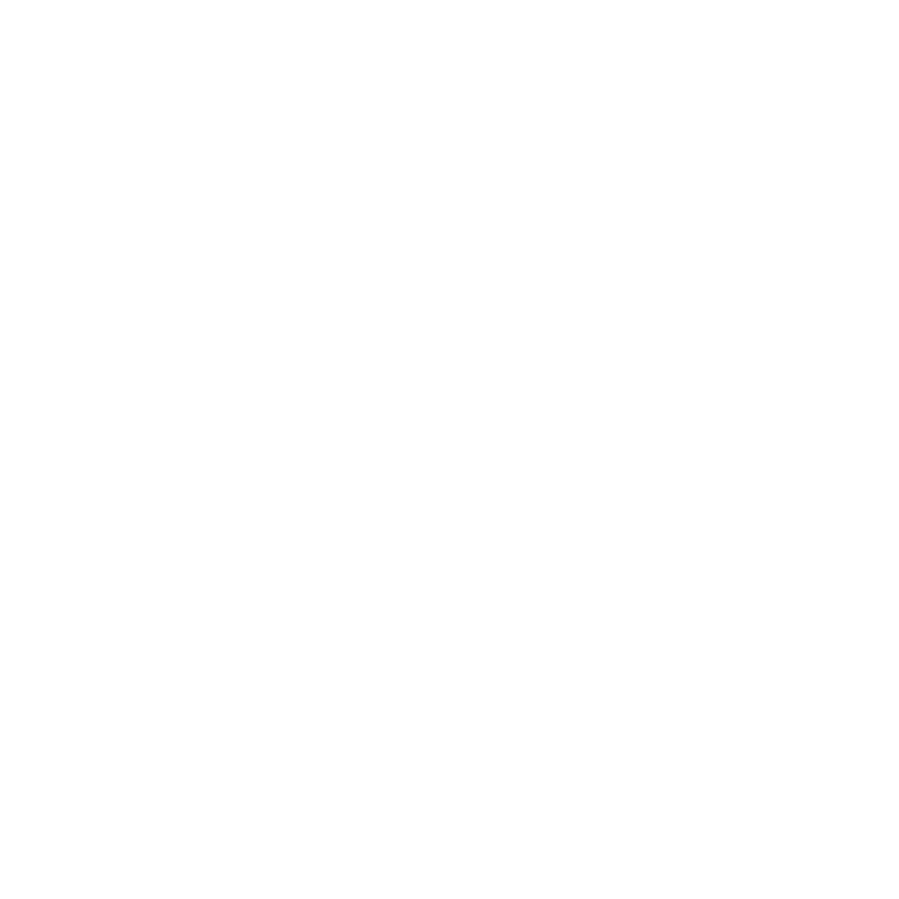 Bottineau "B" logo in white (sized for download)