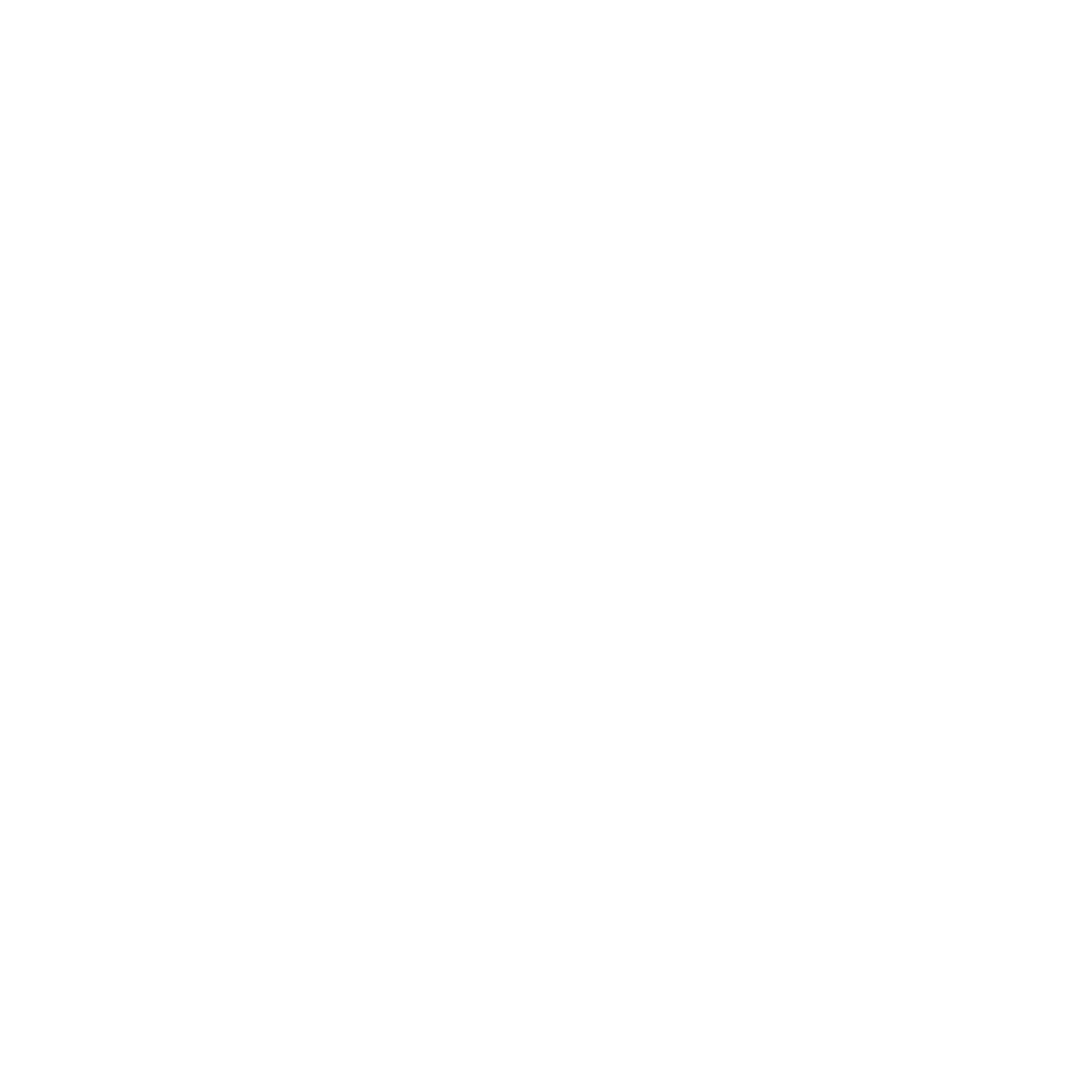 Bottineau primary logo in white